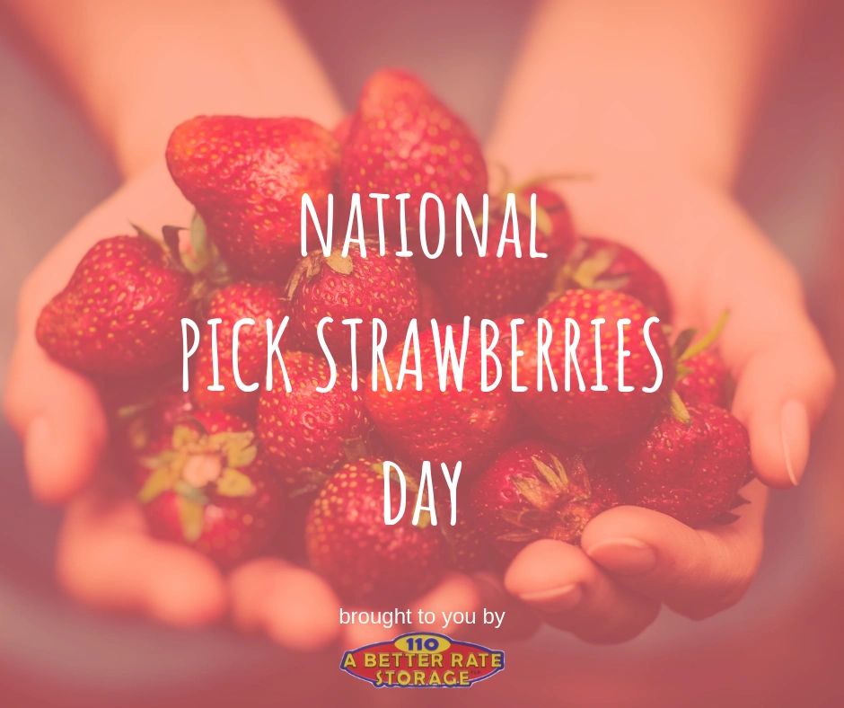 National Pick Strawberries Day!